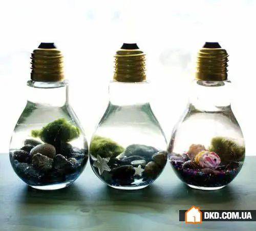 如何在室内设计中摆放鱼缸：5个想法