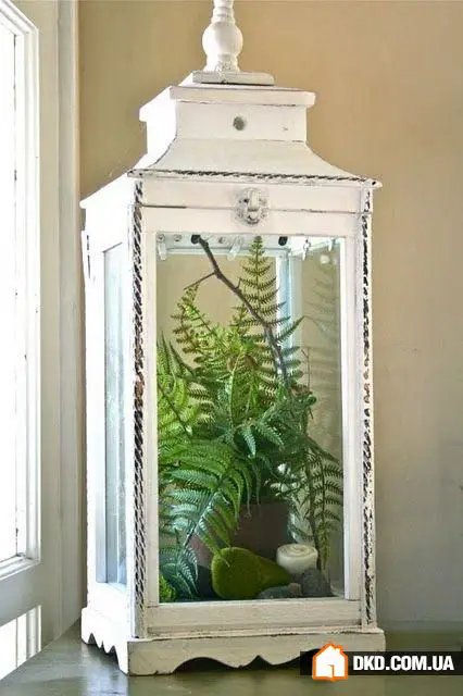 室内花卉：5种原创方式让您的公寓充满绿意