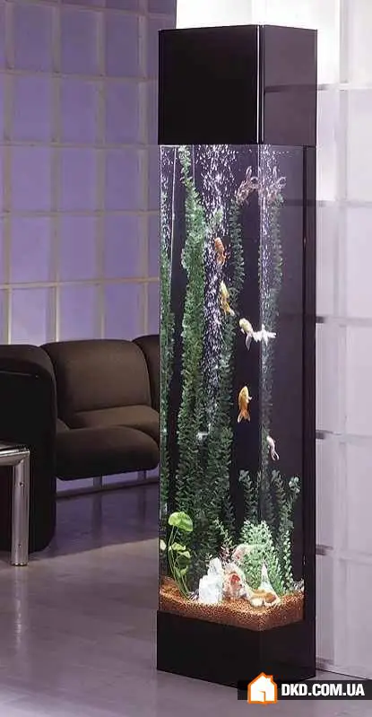 如何在室内设计中摆放鱼缸：5个想法