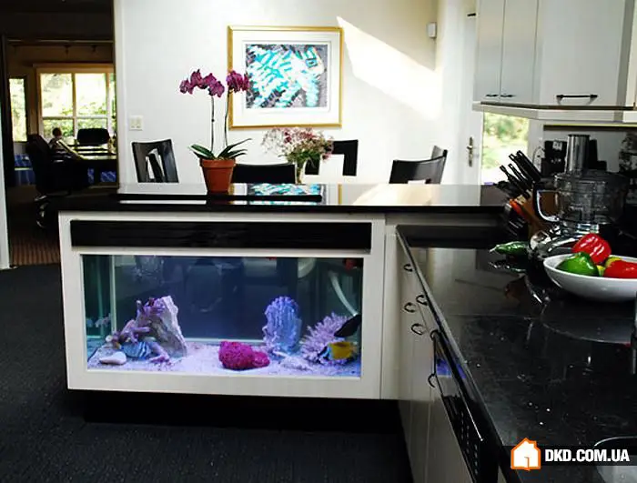 如何在室内设计中摆放鱼缸：5个想法