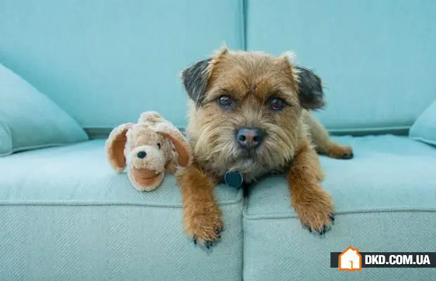 生活小贴士：10种快速整理家居的方法