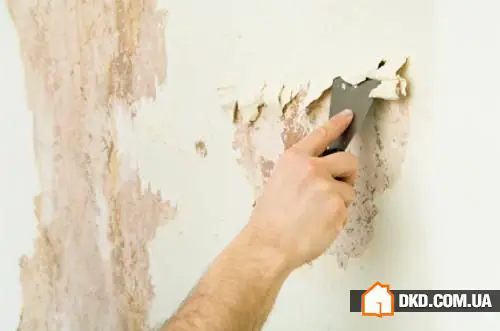 Reparación rápida en el vestíbulo: 10 pasos hacia un resultado ideal