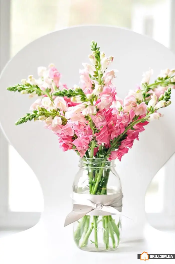 白色厨房:打造完美室内设计的5个技巧