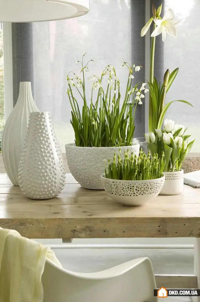 春季装饰灵感:来自设计师的7个建议