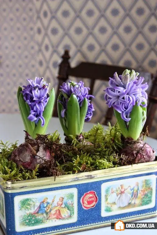 春季装饰灵感:来自设计师的7个建议