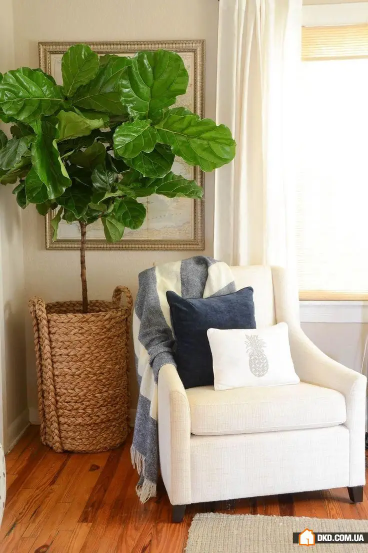 如何装饰房间的空角落:5个想法,25个示例