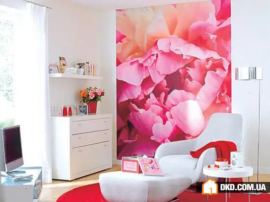 如何在室内设计中使用照片壁纸：6个技巧，30个实例