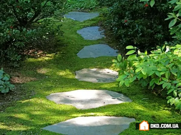 简约之美：花园小径设计灵感