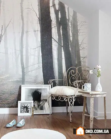 如何在室内设计中使用照片壁纸：6个技巧，30个实例