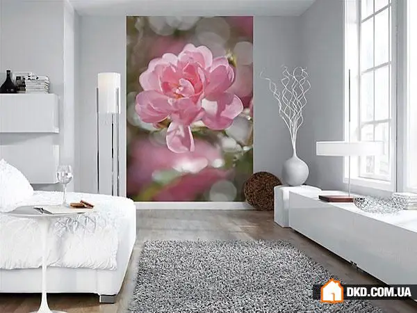 如何在室内设计中使用照片壁纸：6个技巧，30个实例