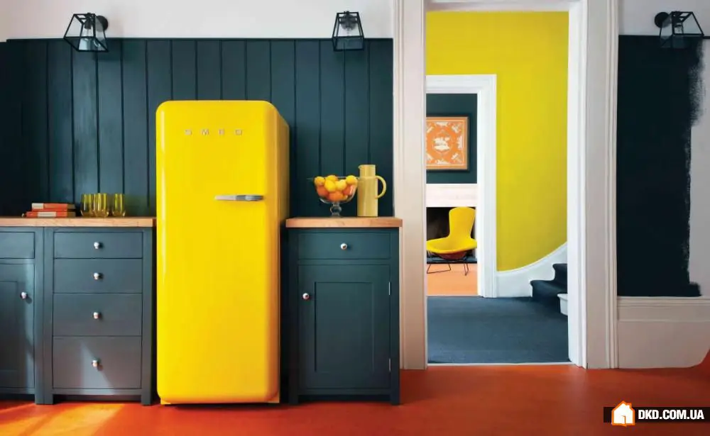 如何简化生活并帮助自然：10个环保小贴士