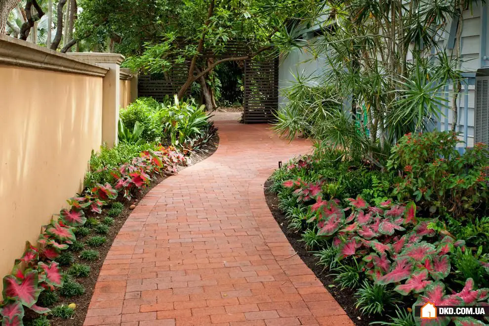 简约之美：花园小径设计灵感