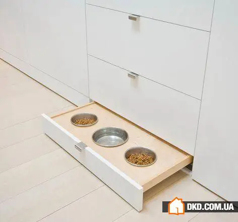 如何在有宠物的情况下布置室内环境