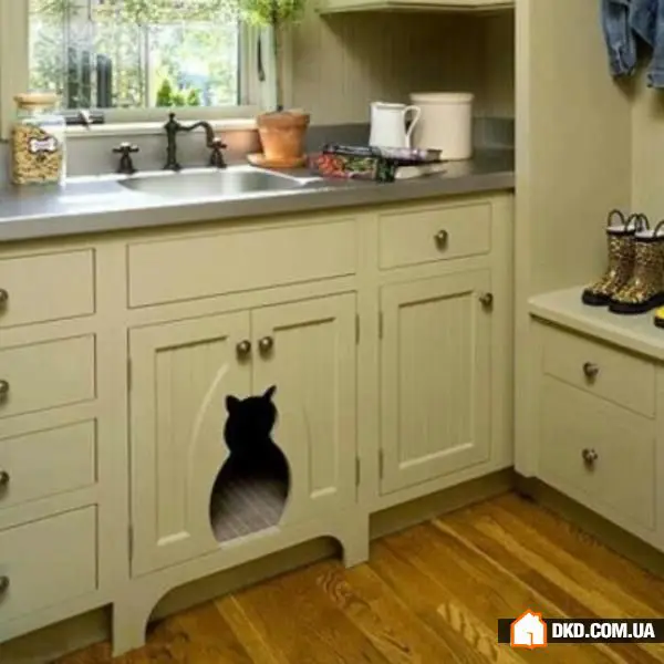 如何在有宠物的情况下布置室内环境