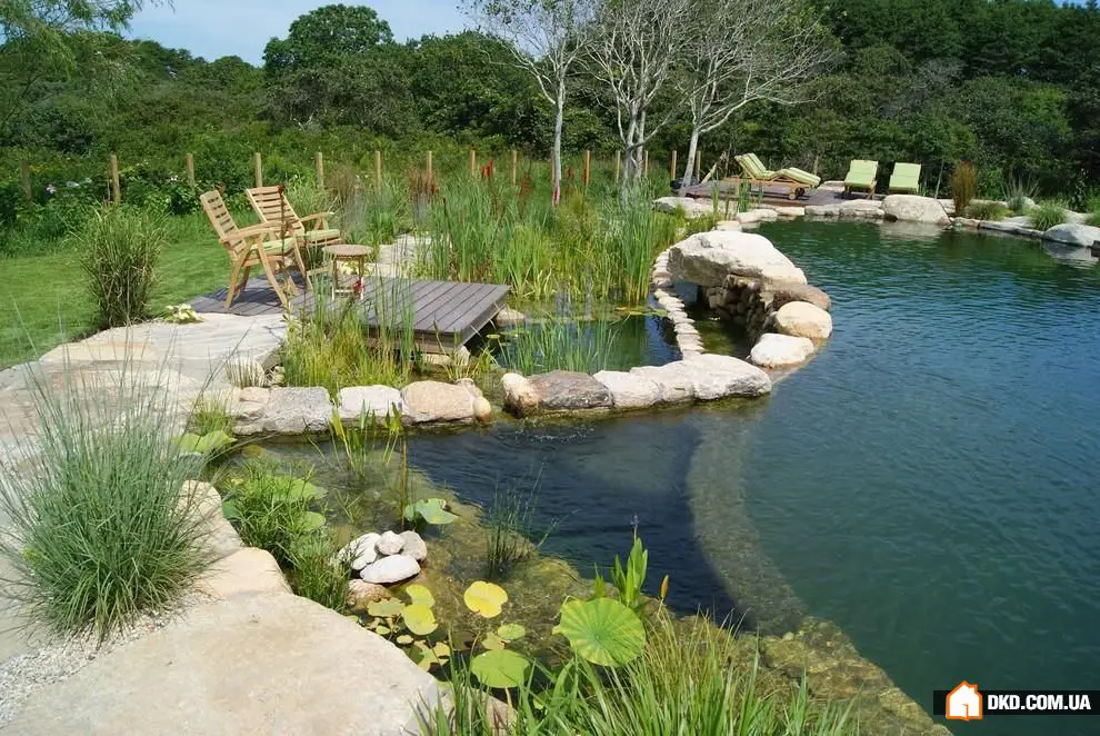 自然设计的池塘边缘