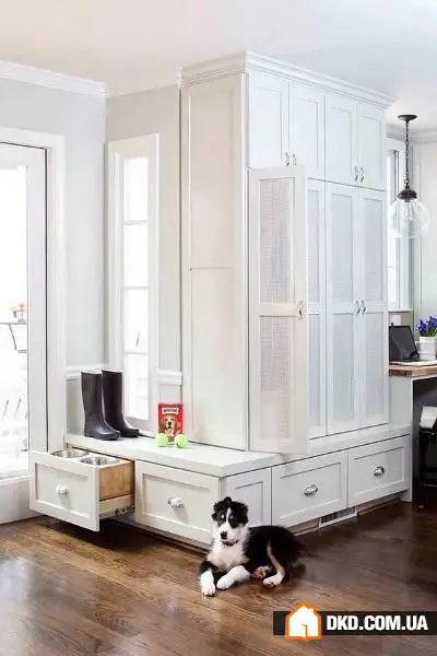 如何在有宠物的情况下布置室内环境