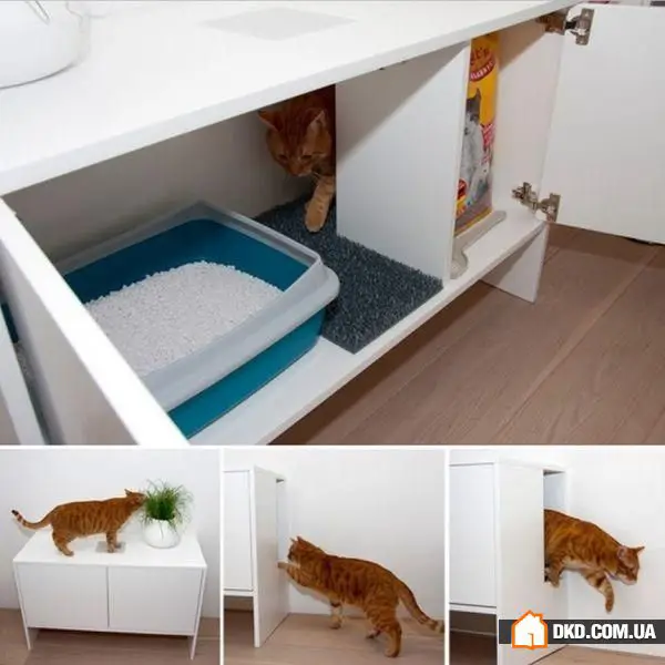 如何在有宠物的情况下布置室内环境