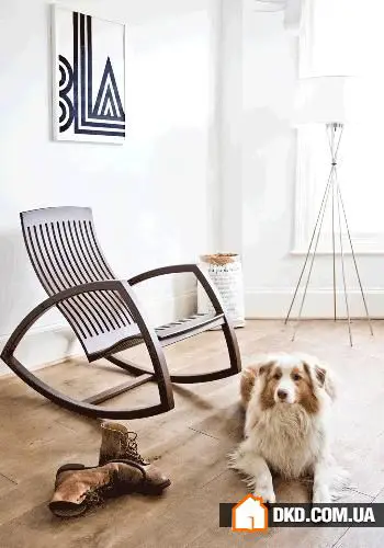 如何在有宠物的情况下布置室内环境