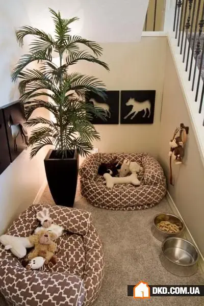 如何在有宠物的情况下布置室内环境