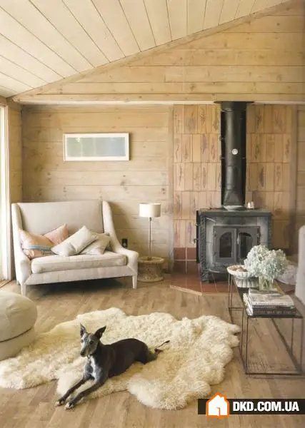 如何在有宠物的情况下布置室内环境