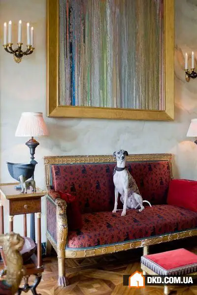 Як організувати інтер'єр, якщо в будинку є тварини