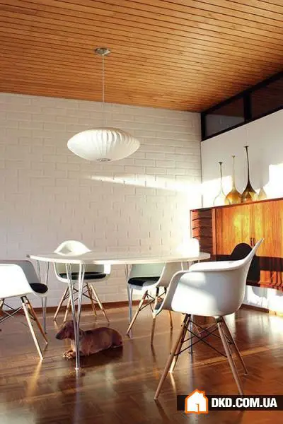 如何在有宠物的情况下布置室内环境