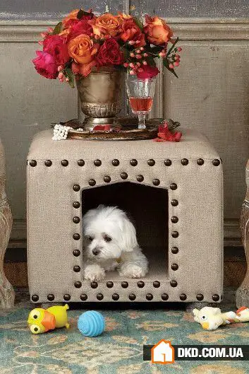 如何在有宠物的情况下布置室内环境