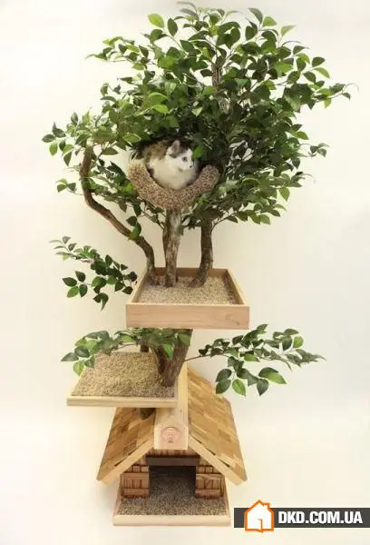 如何在有宠物的情况下布置室内环境