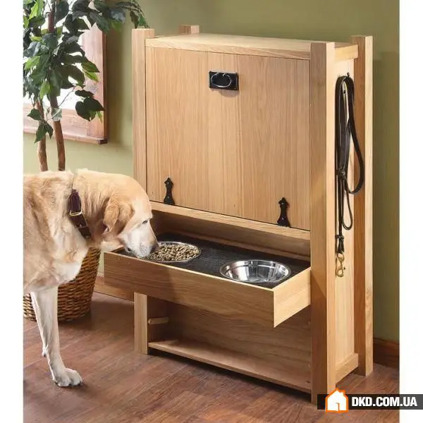 如何在有宠物的情况下布置室内环境