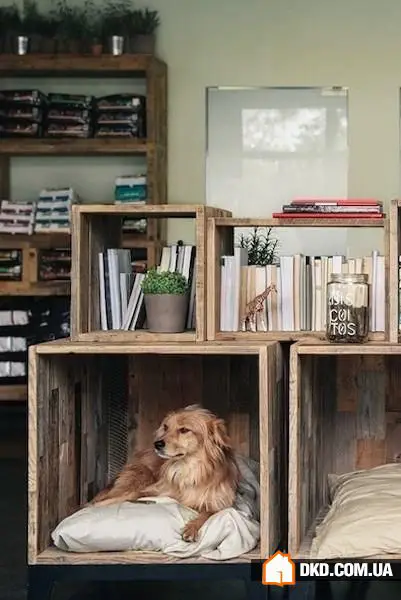 如何在有宠物的情况下布置室内环境