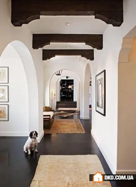 如何在有宠物的情况下布置室内环境