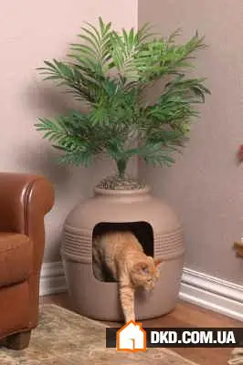 如何在有宠物的情况下布置室内环境