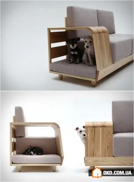 如何在有宠物的情况下布置室内环境