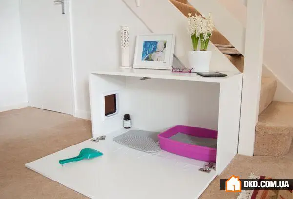 如何在有宠物的情况下布置室内环境