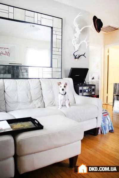 Wie man einen Interior-Design mit Haustieren einrichtet