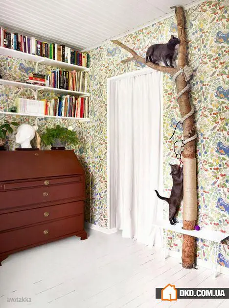 如何在有宠物的情况下布置室内环境