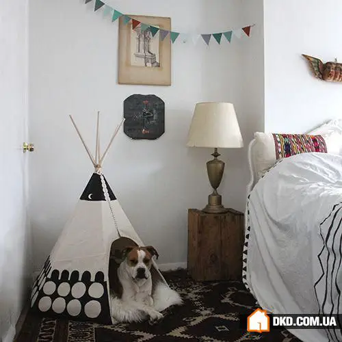 如何在有宠物的情况下布置室内环境