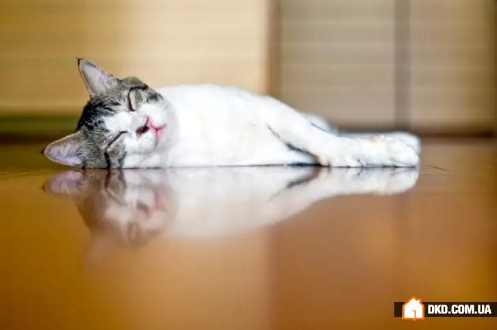 10种创建健康室内微气候的方法