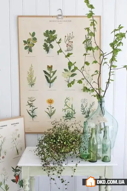 色彩疗法：如何快速改善室内环境