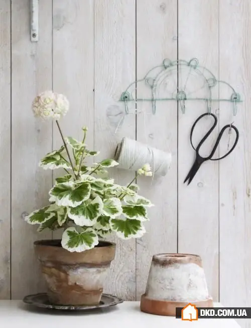 10种创建健康室内微气候的方法