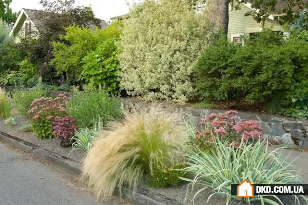 Gartenbau 2015: die interessantesten Trends