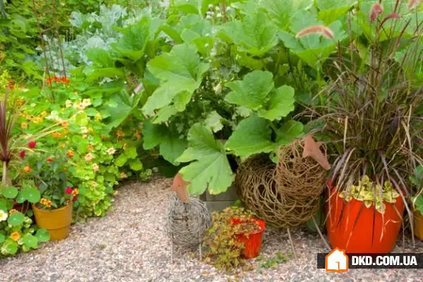 Gartenbau 2015: die interessantesten Trends