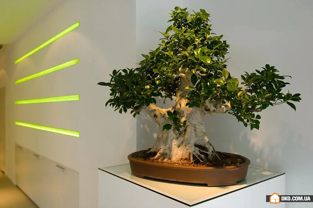 新灯光：放弃五臂吊灯的8个理由