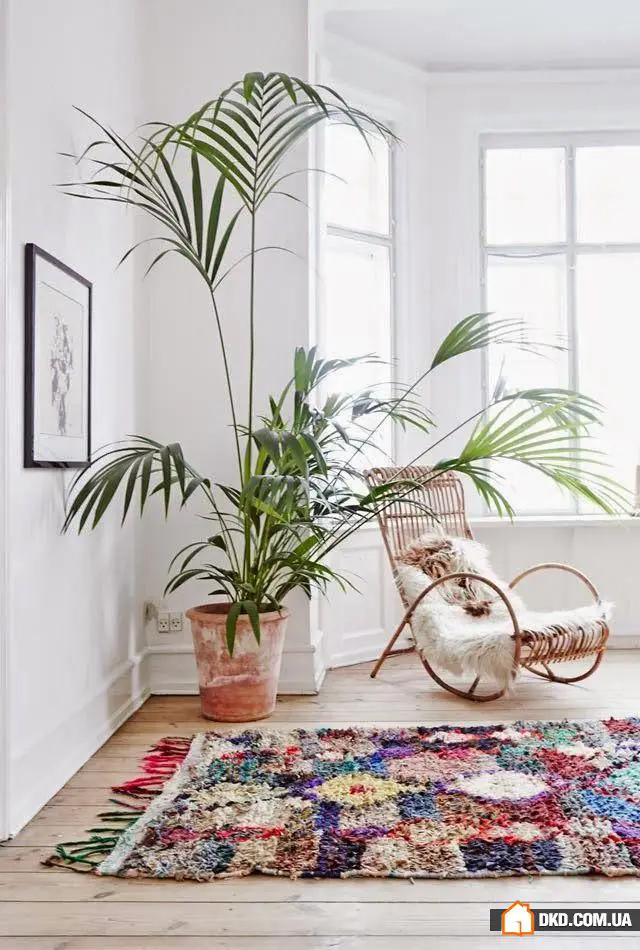 室内地毯：10个最相关问题的答案