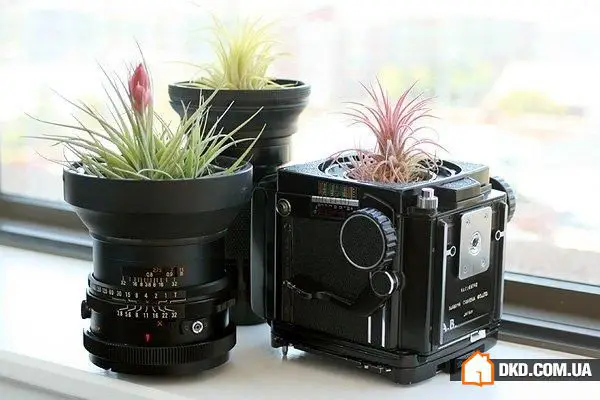 如何清洁室内环境：12个实用生活小技巧