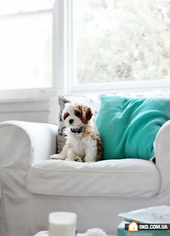 如何在家中更快乐：8个简单想法