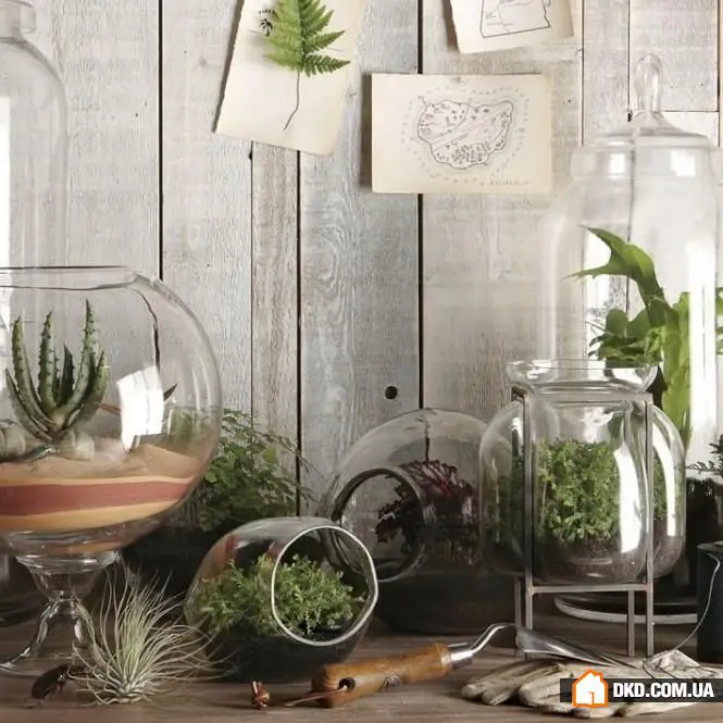 如何让家变得温馨：12种你应该知道的方法