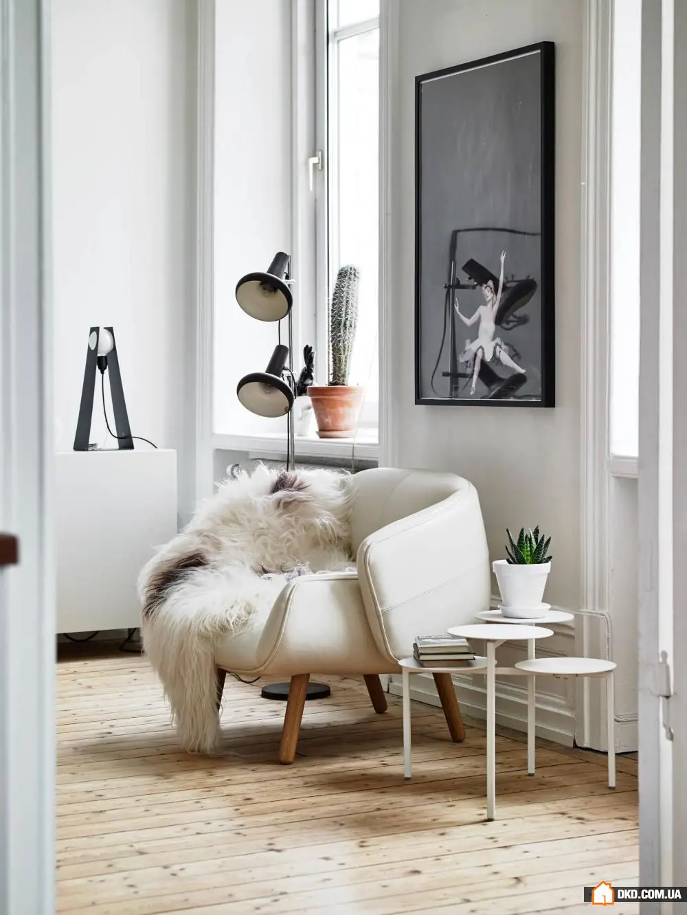 如何通过北向窗户改善公寓:专业人士的建议