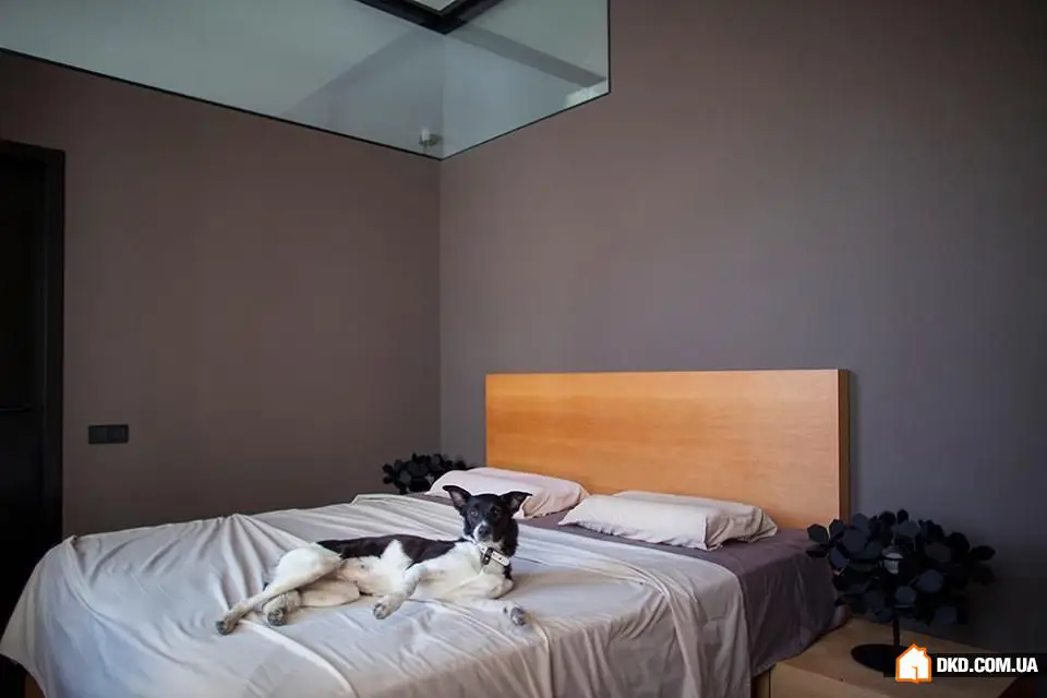 基辅两居室公寓的不寻常装修