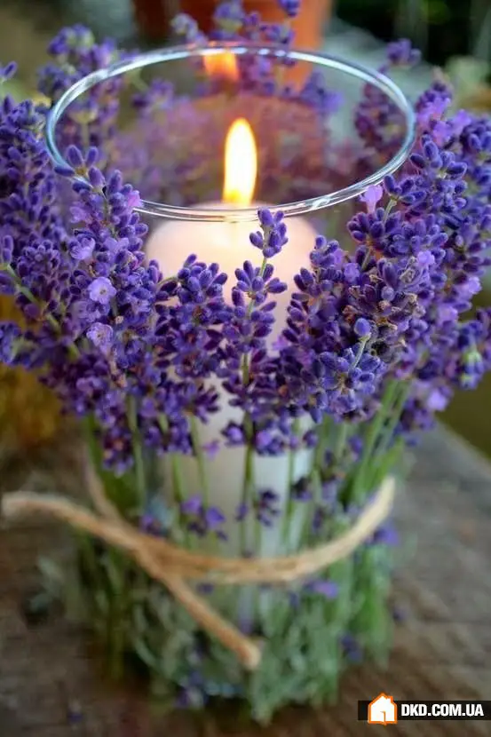 如何在家中更快乐：8个简单想法